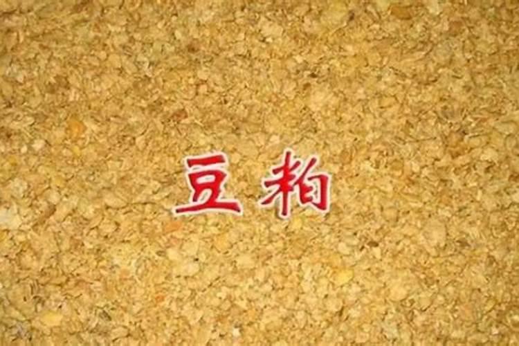 豆粕能往什么花上上