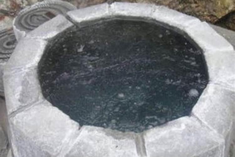 如何给西洋杜鹃施肥与浇水？