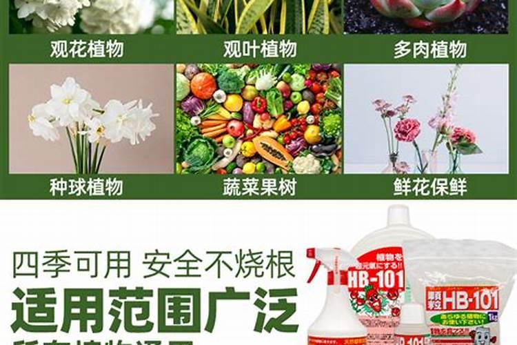 中国最好的叶面肥