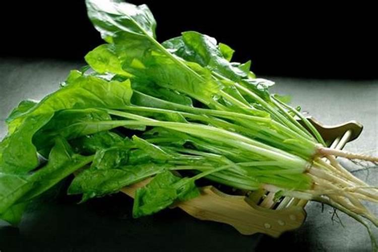 种植菠菜用什么化肥