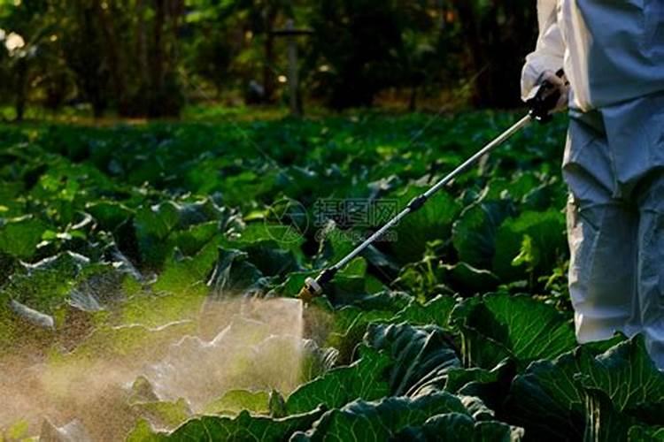 磷肥是农作物的重要肥料之一,怎样施用磷肥才能提高养分利用率？