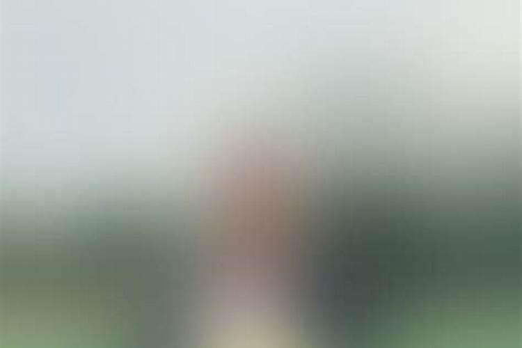 花椰菜出现“散花”怎么办？做好这四点花球紧实不“散花”