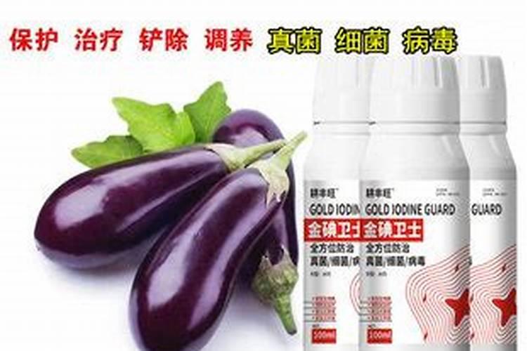 茄子打什么杀菌剂好