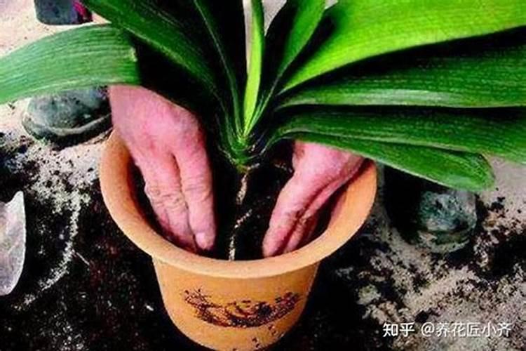 全国有哪些磷肥厂？ 知道的帮帮忙