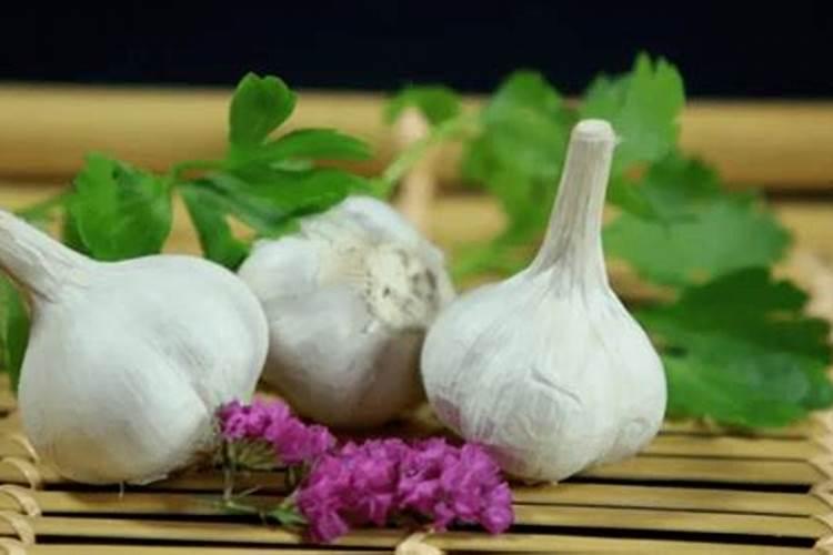 大蒜底肥用什么肥料