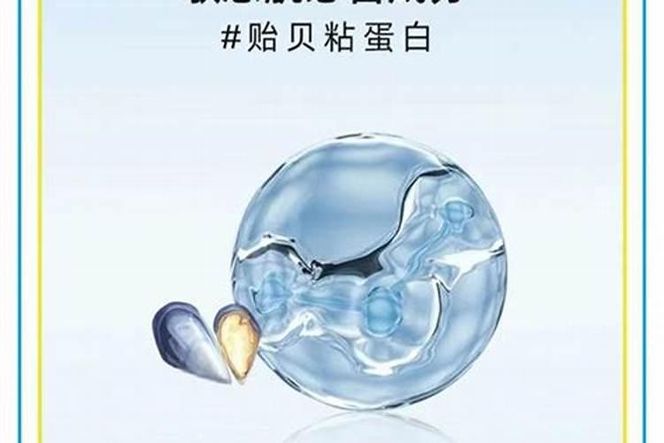 鱼蛋白的主要功效