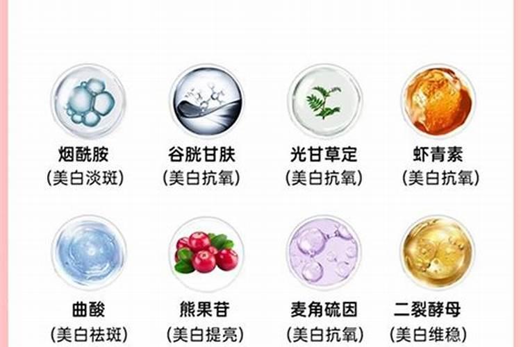 鱼蛋白的做法都有什么呢？