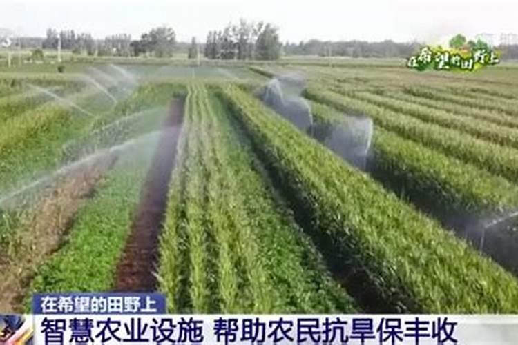 市面上比较好的颗粒水溶肥产品求推荐!