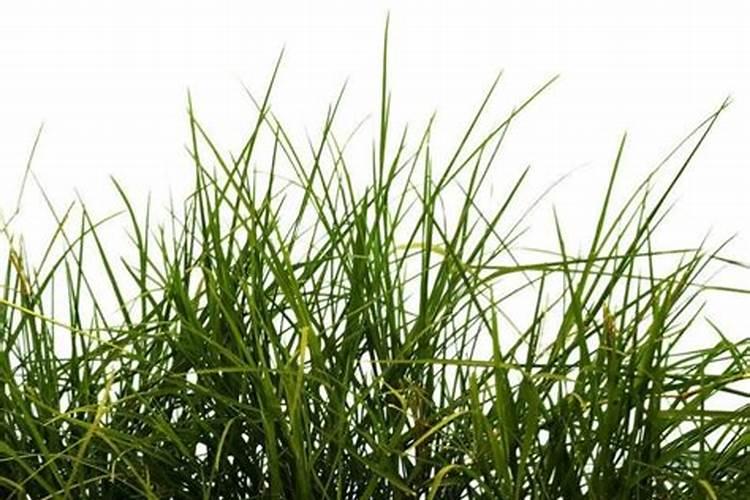 四川省土壤养分分级标准