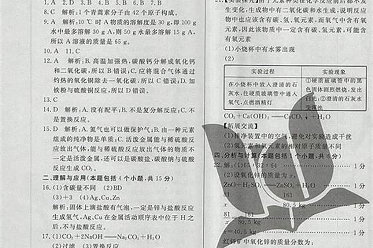 花肥一般用什么肥料？