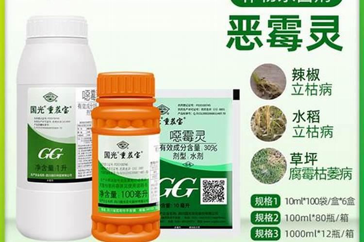 芸苔素和什么叶面肥混用在苗床上比较好？