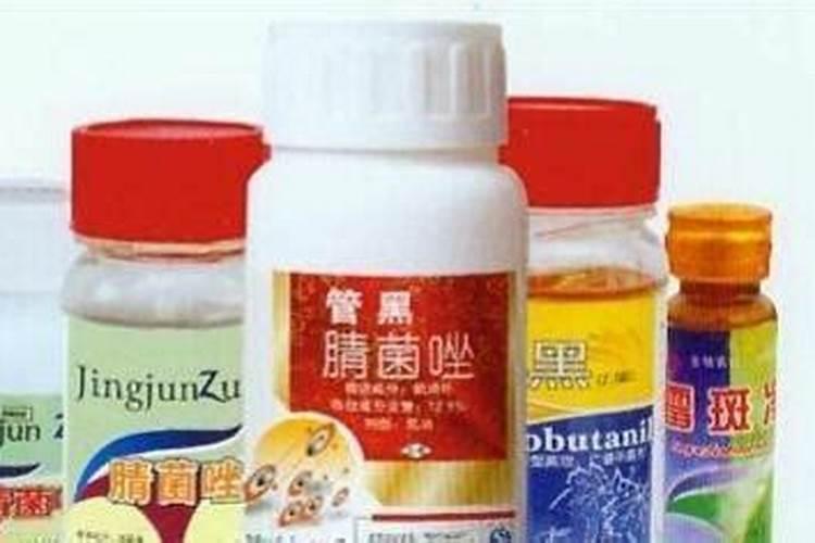 葡萄裂果怎么快速防治