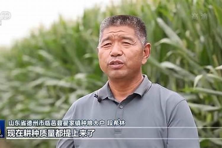 金正大控释玉米专用肥261212多少钱一吨