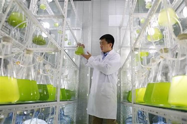 十大名牌化肥有哪些