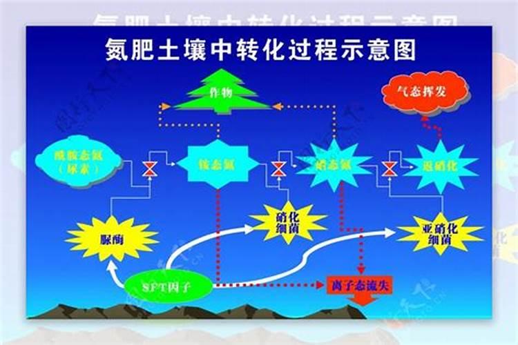 酱菜多久后亚硝酸盐含量较低