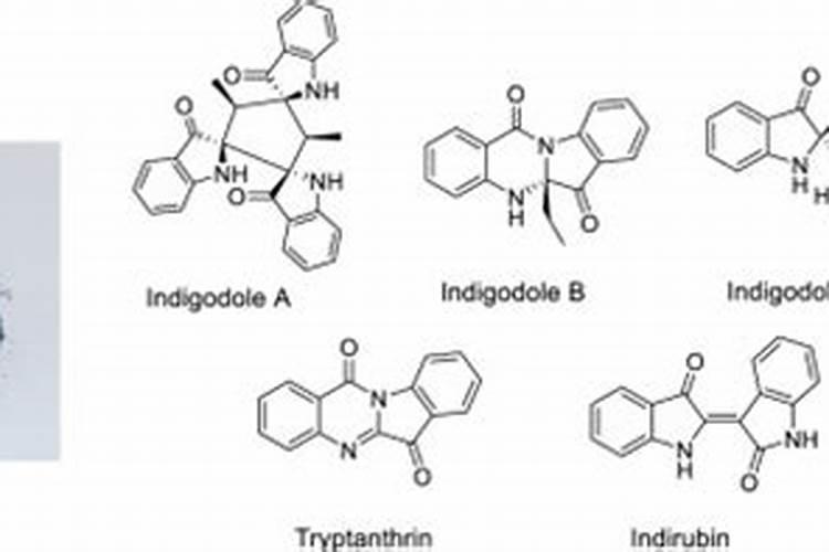什么叶面肥能抑制植物生长