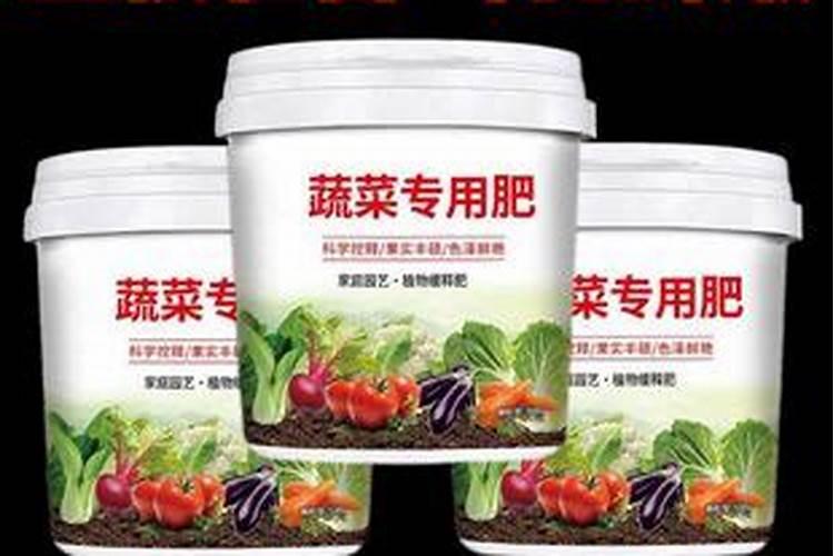 在信阳金兰山森林公园旅行,有哪些不能错过的特色美食？