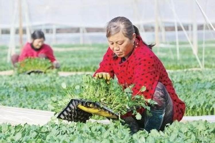 信阳市的美食有哪些？