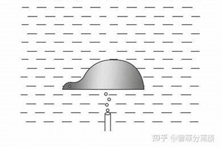 什么情况下用磷酸二氢钾(最新整理磷酸二氢钾正确使用方法)