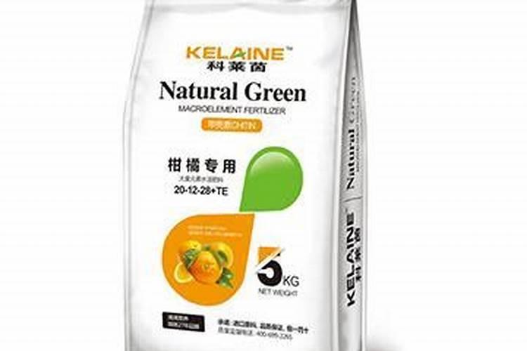 月季花种类及用途