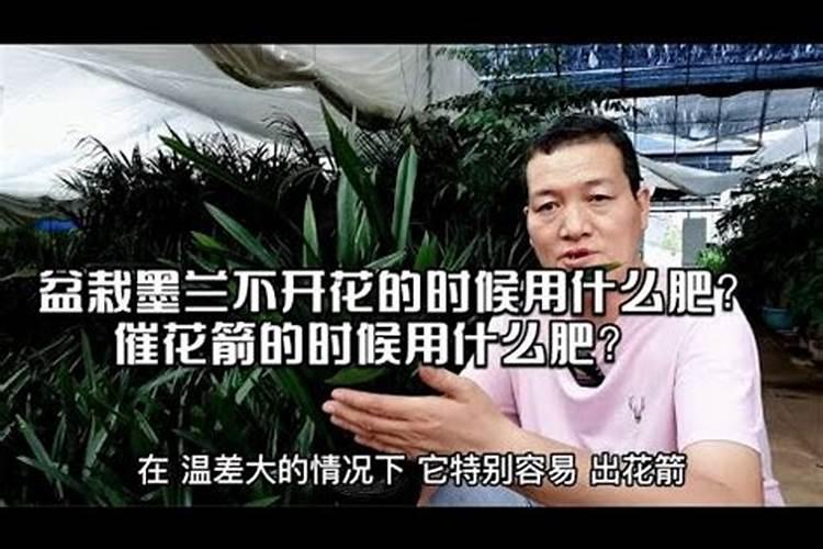 催花用什么肥料好,怎么施肥