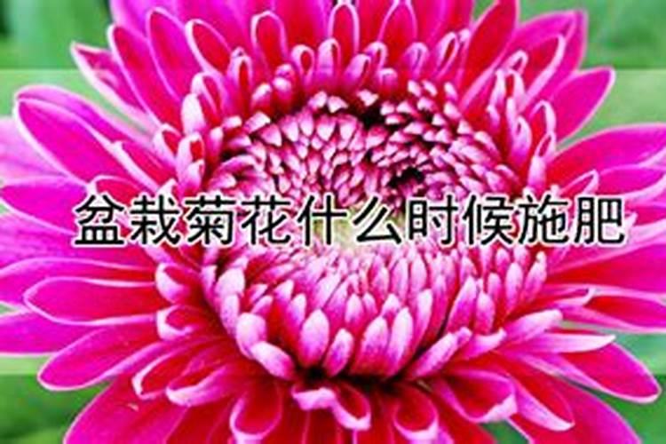 家用自制氮肥有哪些