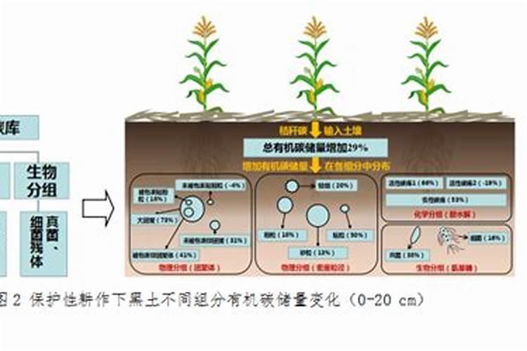 如何提高氮肥磷肥钾肥的利用率 提高氮肥磷肥钾肥的利用率方法百度知 ...