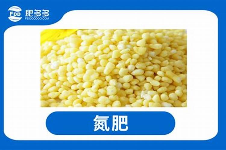 大葱中后期需要什么肥料