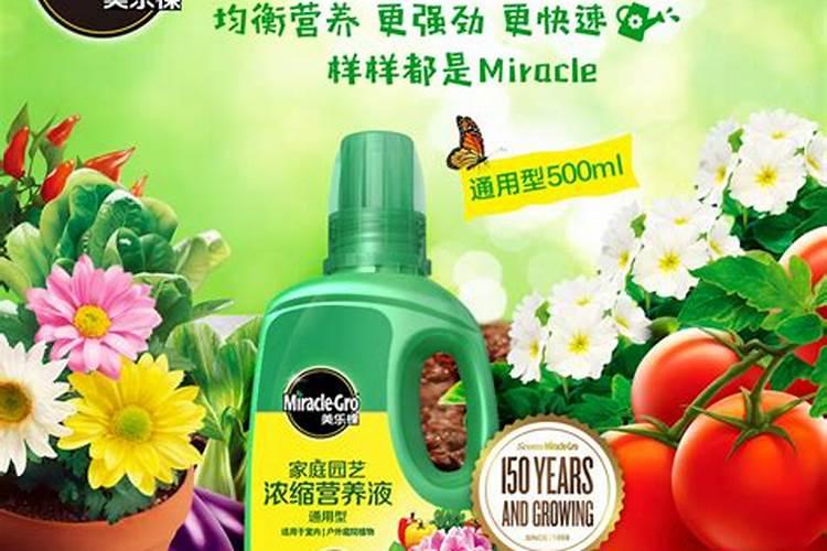 花肥一般用什么肥料