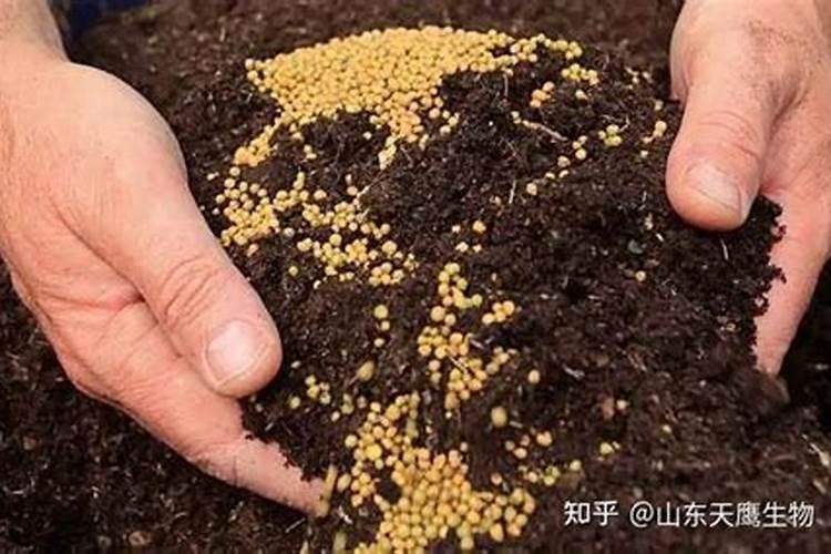 大蒜生长需肥规律是怎样的？大蒜施肥氮磷钾比例是多少呢？