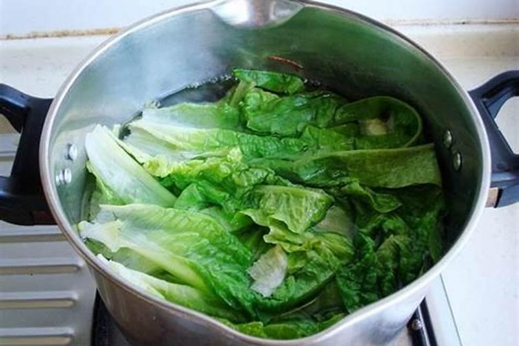 菜叶子怎么做肥料