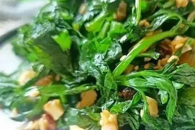 烂菜叶子可以做肥料吗