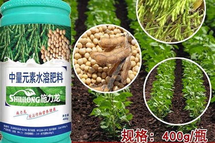 大豆叶面肥配方技术