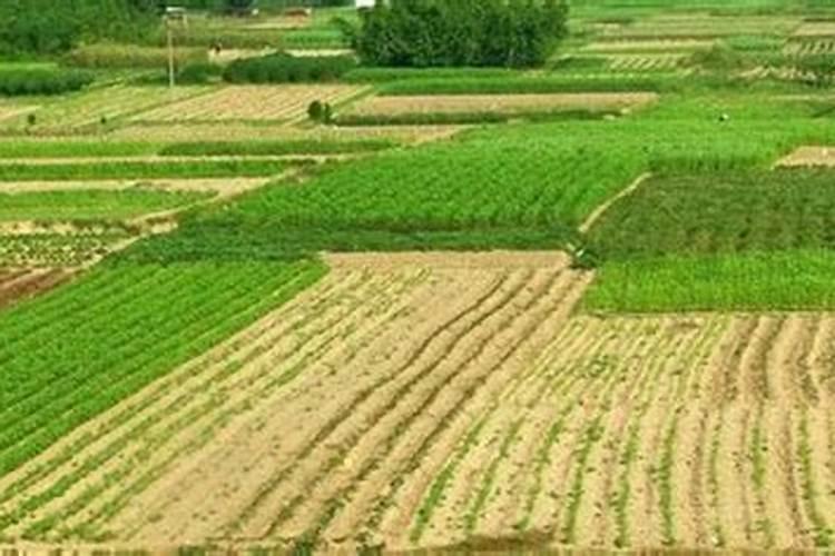 磷肥一亩地施多少 进来看看