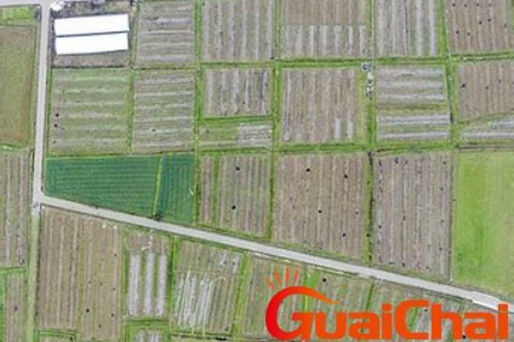 磷肥一亩地施多少