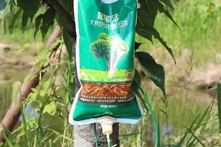 水培植物可以用水溶肥吗