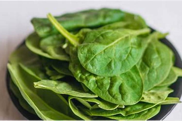 种植生菜除了氮肥,到底还需不需要用钾肥呢？