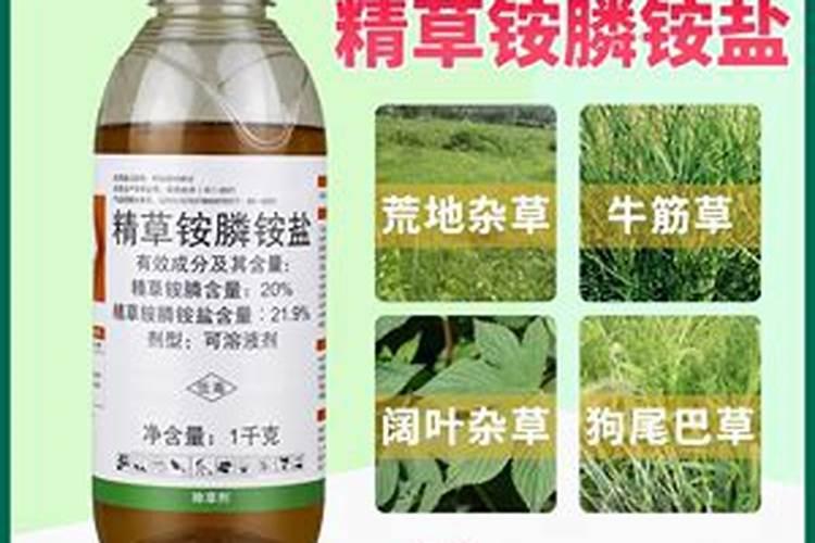 尿素加盐能当除草剂？除草效率翻倍？4点原因,到底能用吗？