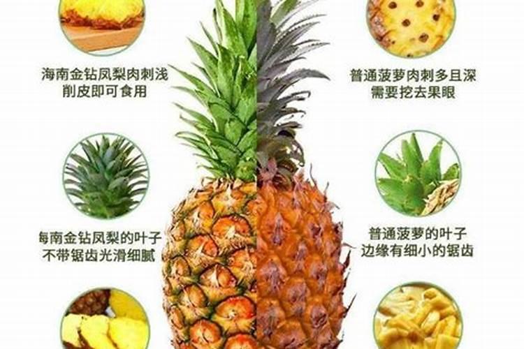 硼肥的作用与功效是什么？