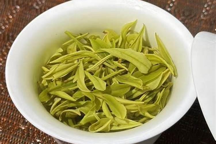 安吉白茶的种植技术有哪些？