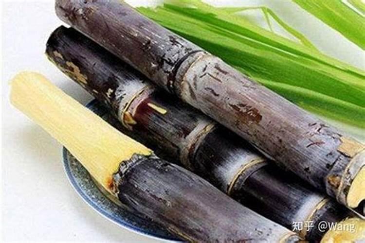 甘蔗施什么肥？