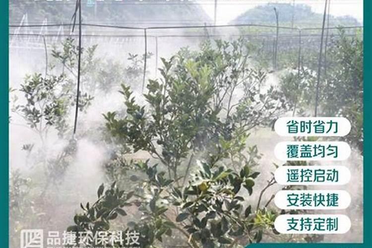 苹果树打药时间及用药