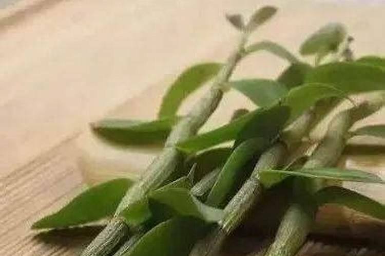 芸苔素内脂是激素吗？