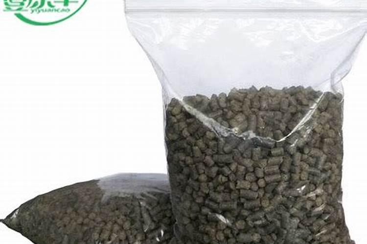 铁皮石斛浇什么肥合适？