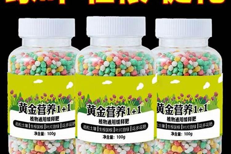 养花肥料从哪买 附近买肥料的地方