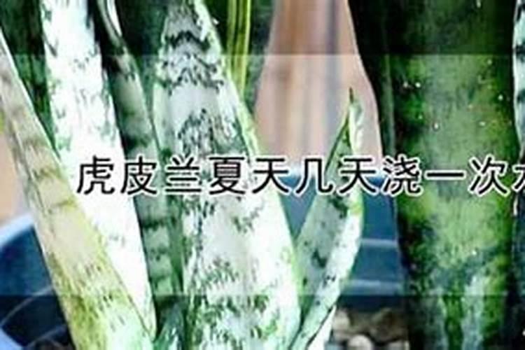 爆氧对鱼的好处和坏处