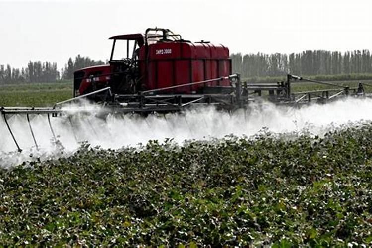 大祘叶面肥用什么肥料好