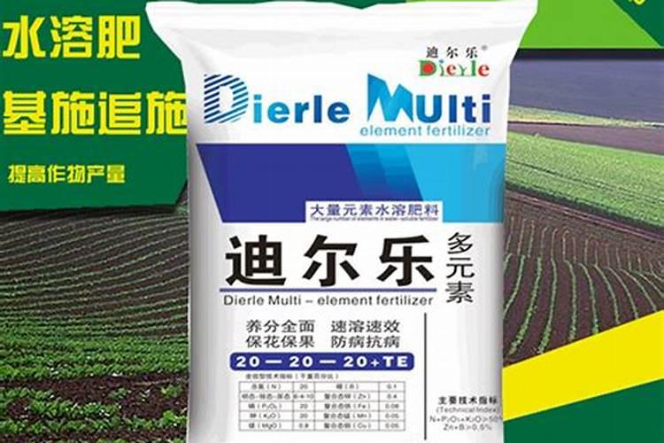 喂什么肥能让盆栽金桔不酸