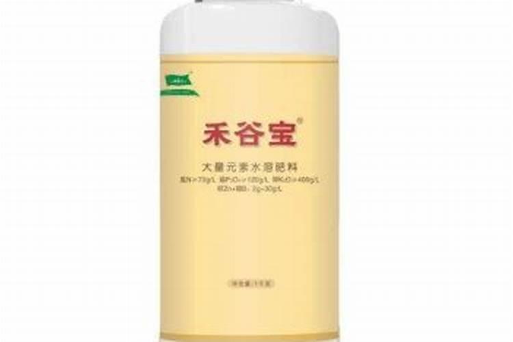 辣椒可以和哪些蔬菜套种