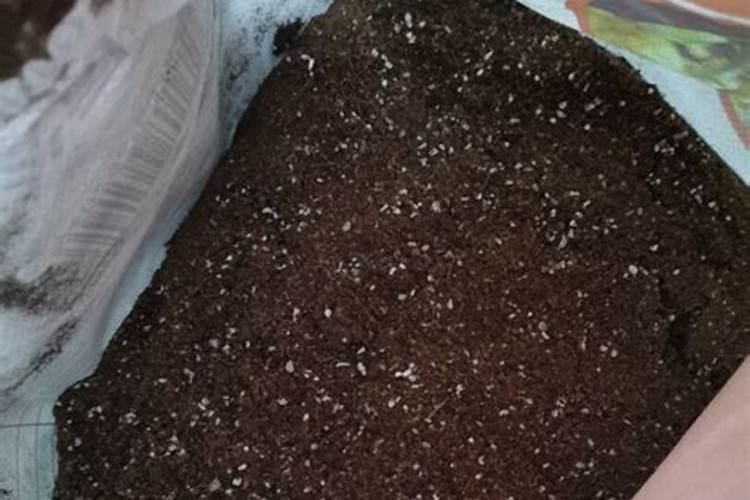 矿源黄腐酸钾抗低温多少度